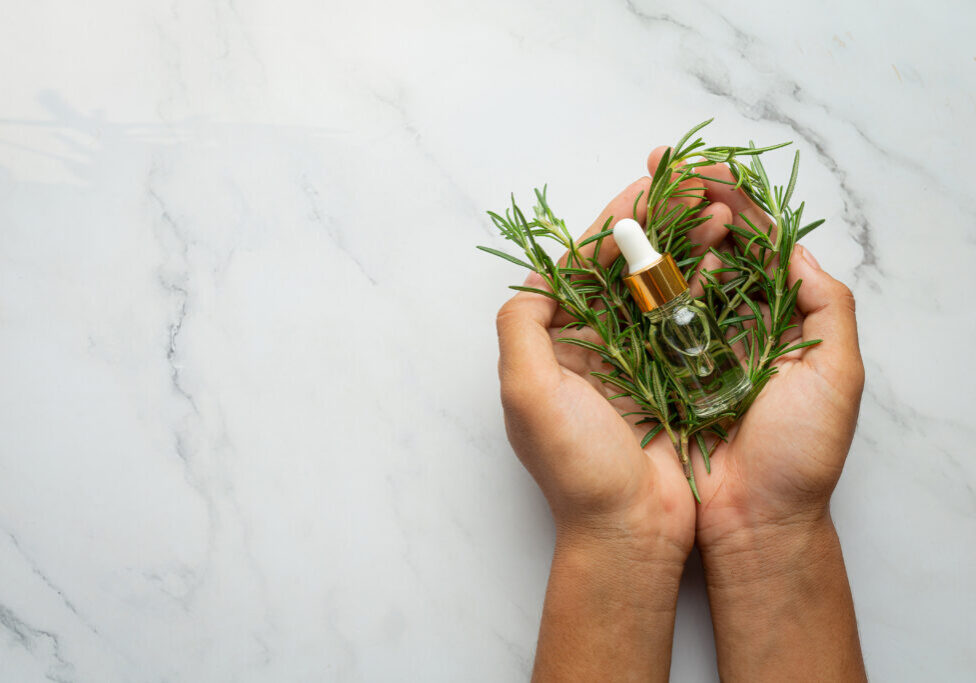 hand  holding Rosemary fresh plant and bottle of rosemary oil